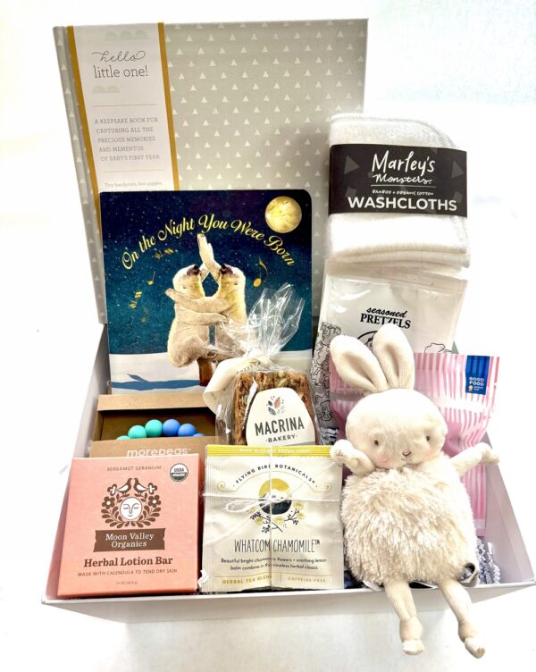 Baby Basket $155 large