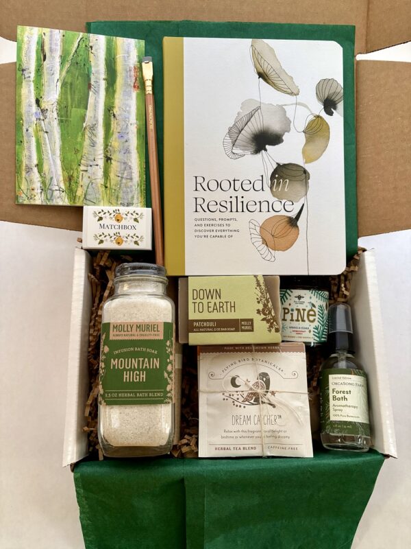 Forest Bath Box - $95 - large- with Rooted in Resilience guided journal + Mt. High Bath Soak